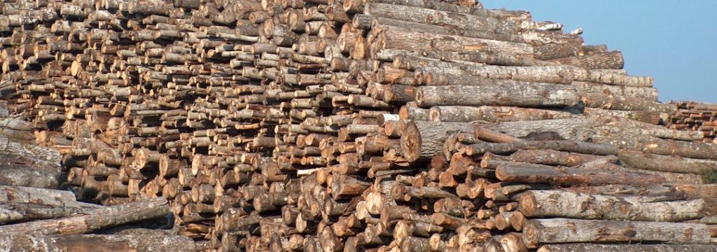 Apvalios medienos pirkimas